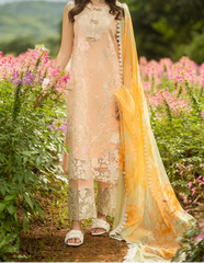 Grace Z-(S1238) - Stitched Embroidered 3pc CHIKANKARI Lawn Dress With Printed Munar Dupatta.