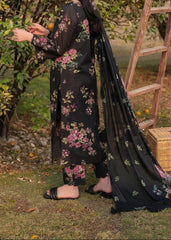 Grace W879 - Digital Printed 3pc Karandi Dress With Digital Printed Karandi Shawl.